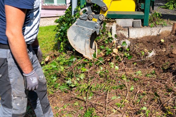 Hedge Removal Service in Williamsburg
