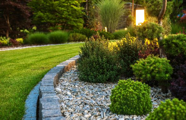 Cost of Bush Relocation in Williamsburg