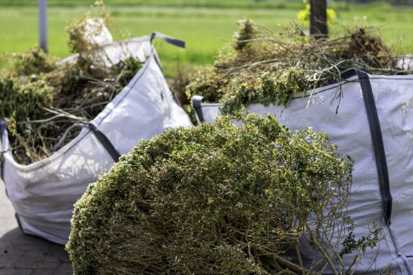 Cost of Shrubs Removal in Williamsburg