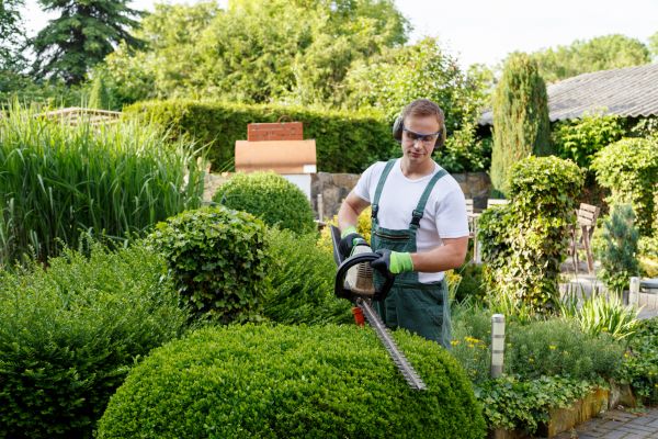 Shrubs Trimming in Williamsburg