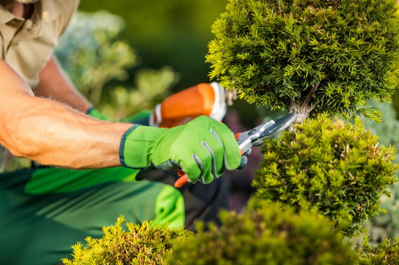 Landscaper with Pruning Equipment