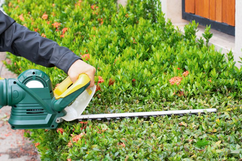 Professional Pruning Tools