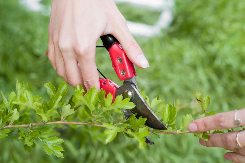 Close-Up of Pruning Shears